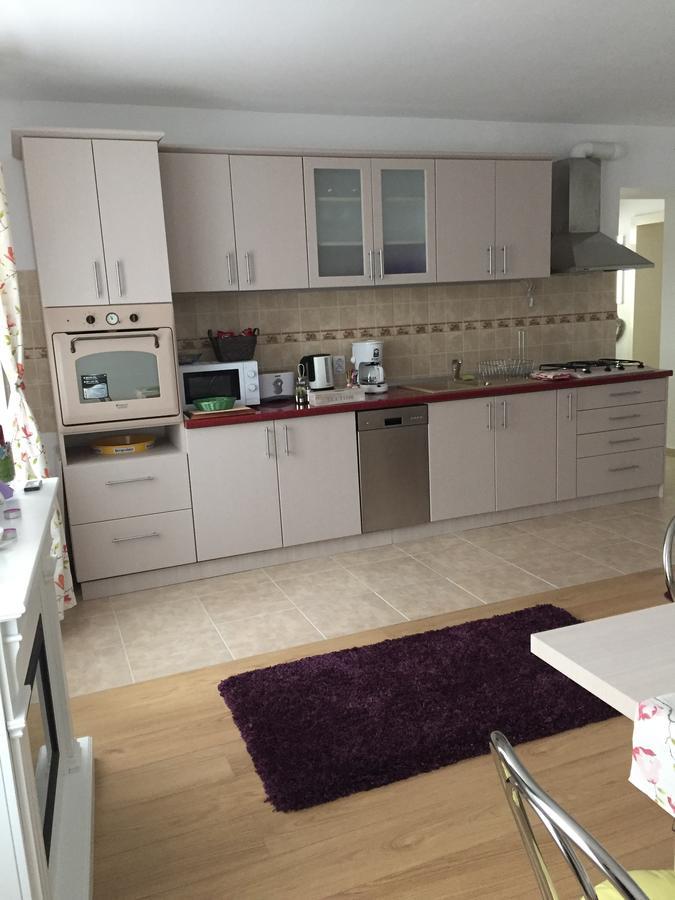 Xenopol Grand Studio Lägenhet Sibiu Exteriör bild