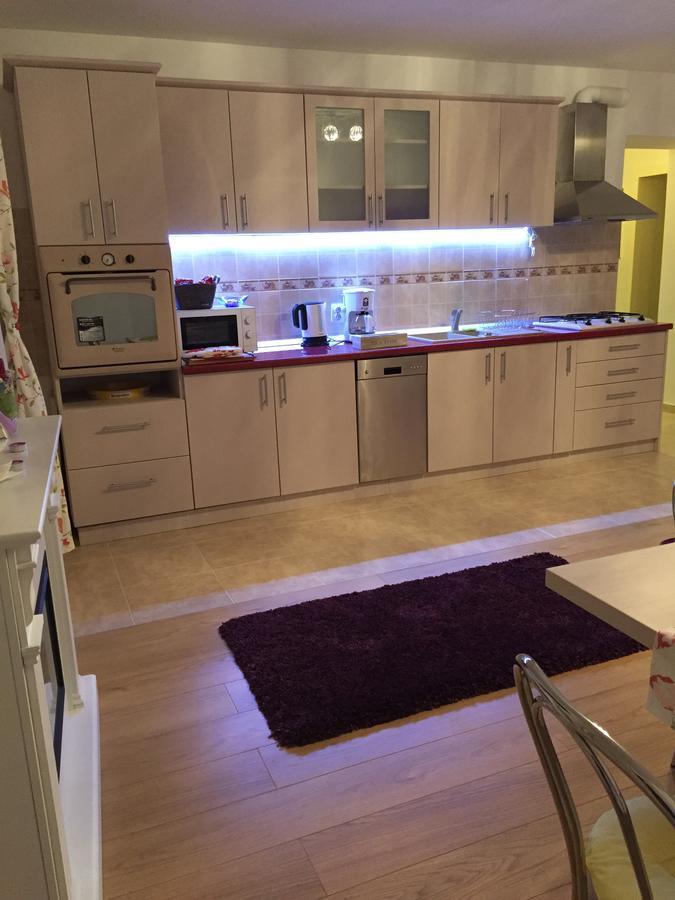 Xenopol Grand Studio Lägenhet Sibiu Exteriör bild