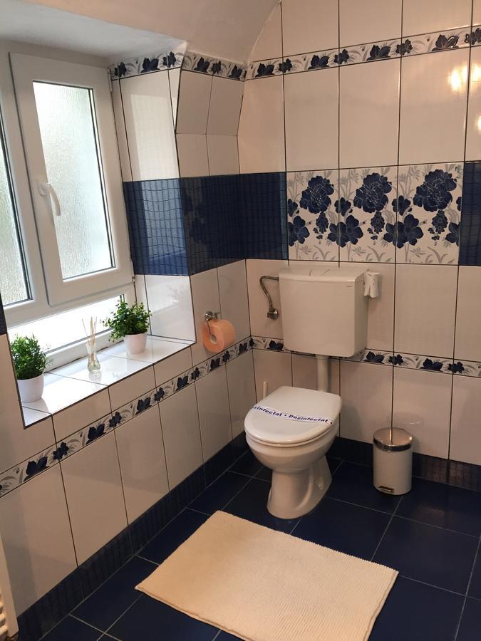 Xenopol Grand Studio Lägenhet Sibiu Exteriör bild